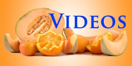 Button to watch Dehydrate2Store videos