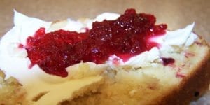 Picture of Dehydrated Cranberry Sauce and Bread