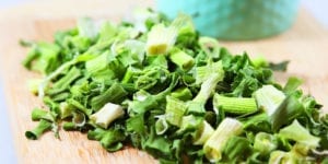 Dehydrated scallions made in a food dehydrator