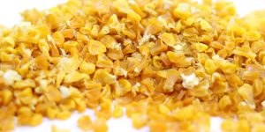 How to make corn dehydrated dried corn with your dehydrator