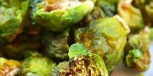 Dehydrated brussels sprouts: how to dry brussels sprouts with your dehydrator