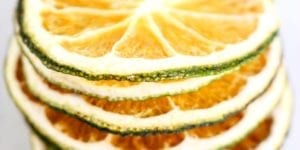 Dehydrated limes: how to dry limes with your dehydrator