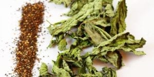 Dehydrated mint tea leaves: How to dry tea leaves