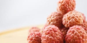 Dried raspberries: how to dehydrate raspberries in a dehydrator