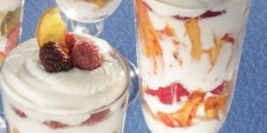 Picture of Yogurt with Dehydrated Fruits by Dehydrate2Store